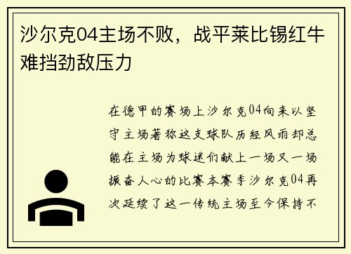 沙尔克04主场不败，战平莱比锡红牛难挡劲敌压力